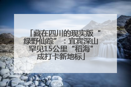 藏在四川的现实版“绿野仙踪”：宜宾深山罕见15公里“稻海”成打卡新地标