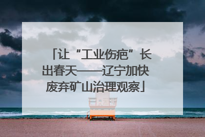 让“工业伤疤”长出春天——辽宁加快废弃矿山治理观察