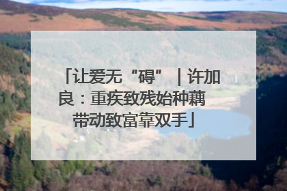 让爱无“碍”｜许加良：重疾致残始种藕 带动致富靠双手