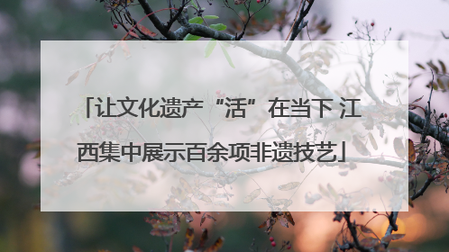 让文化遗产“活”在当下 江西集中展示百余项非遗技艺