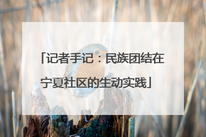 记者手记：民族团结在宁夏社区的生动实践