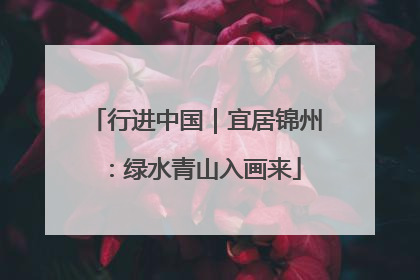 行进中国｜宜居锦州：绿水青山入画来