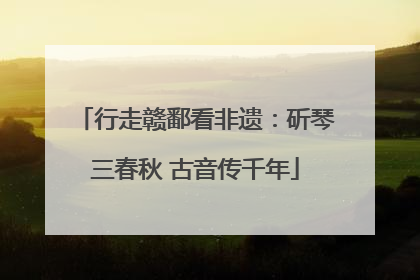 行走赣鄱看非遗：斫琴三春秋 古音传千年