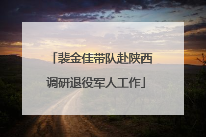 裴金佳带队赴陕西调研退役军人工作