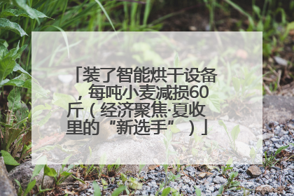 装了智能烘干设备，每吨小麦减损60斤（经济聚焦·夏收里的“新选手”）