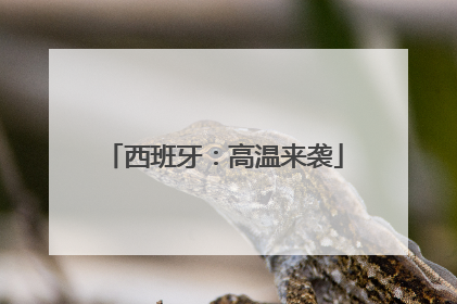 西班牙：高温来袭