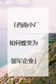 西南小厂如何蝶变为领军企业