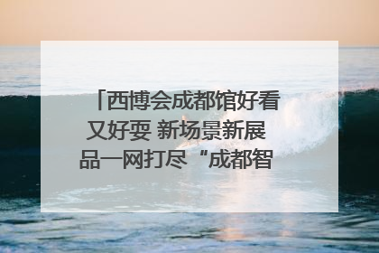 西博会成都馆好看又好耍 新场景新展品一网打尽“成都智造”｜西博视界