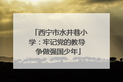 西宁市水井巷小学：牢记党的教导 争做强国少年