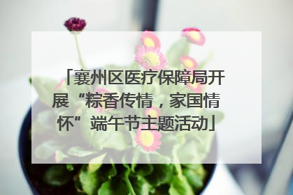 襄州区医疗保障局开展“粽香传情，家国情怀”端午节主题活动