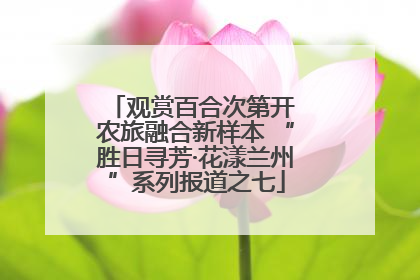 观赏百合次第开 农旅融合新样本 “胜日寻芳·花漾兰州”系列报道之七