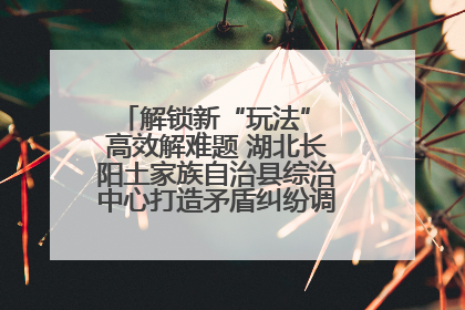 解锁新“玩法” 高效解难题 湖北长阳土家族自治县综治中心打造矛盾纠纷调处“终点站”