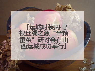 运城时装周·寻根丝绸之源“半颗蚕茧”研讨会在山西运城成功举行