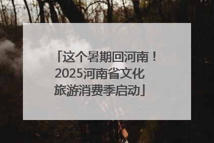 这个暑期回河南！2025河南省文化旅游消费季启动