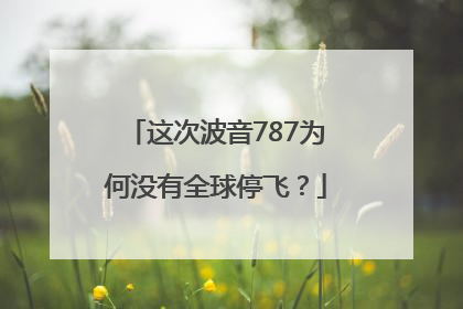 这次波音787为何没有全球停飞？