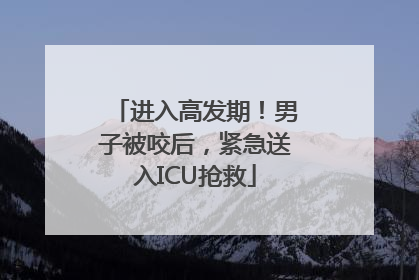 进入高发期！男子被咬后，紧急送入ICU抢救