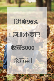 进度96%！河北小麦已收获3000余万亩