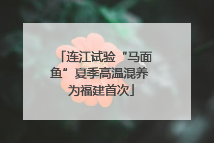 连江试验“马面鱼”夏季高温混养 为福建首次