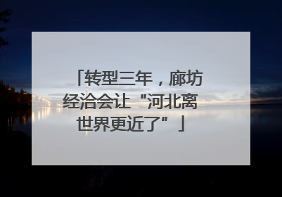 转型三年，廊坊经洽会让“河北离世界更近了”