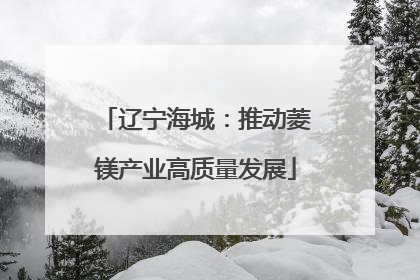 辽宁海城：推动菱镁产业高质量发展