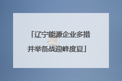 辽宁能源企业多措并举备战迎峰度夏