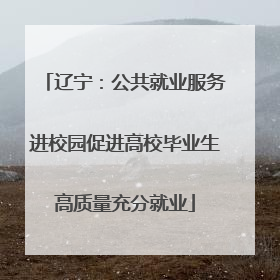 辽宁：公共就业服务进校园促进高校毕业生高质量充分就业