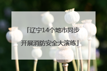 辽宁14个地市同步开展消防安全大演练