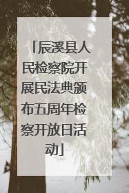 辰溪县人民检察院开展民法典颁布五周年检察开放日活动