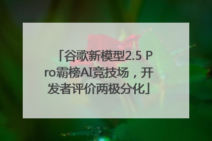 谷歌新模型2.5 Pro霸榜AI竞技场，开发者评价两极分化
