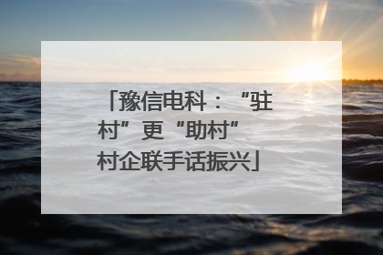 豫信电科：“驻村”更“助村” 村企联手话振兴