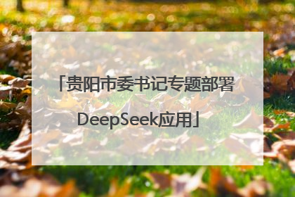 贵阳市委书记专题部署DeepSeek应用