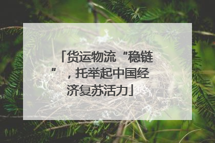 货运物流“稳链”，托举起中国经济复苏活力