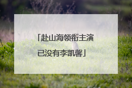 赴山海领衔主演已没有李凯馨