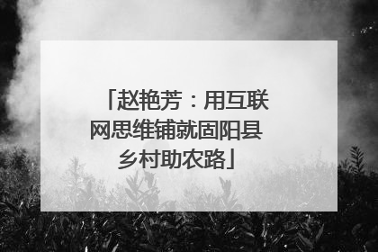 赵艳芳：用互联网思维铺就固阳县乡村助农路