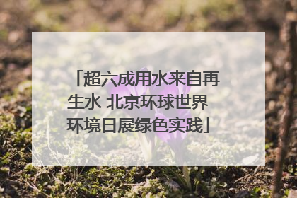 超六成用水来自再生水 北京环球世界环境日展绿色实践