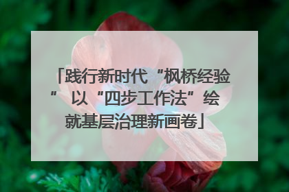 践行新时代“枫桥经验” 以“四步工作法”绘就基层治理新画卷
