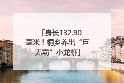 身长132.90毫米！桐乡养出“巨无霸”小龙虾