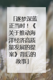 逐梦深蓝正当时！《关于推动海洋经济高质量发展的提案》背后的故事
