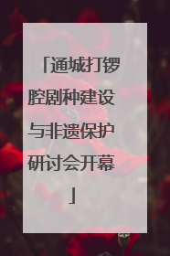 通城打锣腔剧种建设与非遗保护研讨会开幕