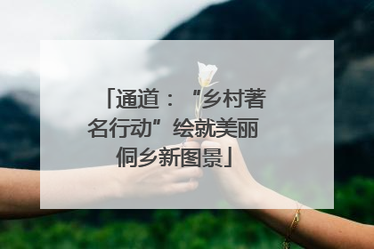 通道：“乡村著名行动”绘就美丽侗乡新图景