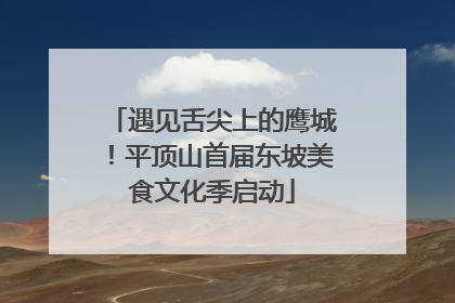 遇见舌尖上的鹰城！平顶山首届东坡美食文化季启动