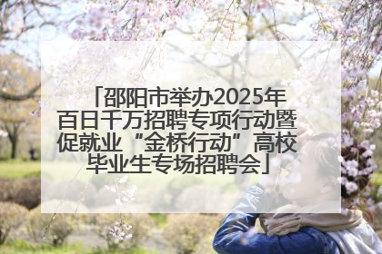 邵阳市举办2025年百日千万招聘专项行动暨促就业“金桥行动”高校毕业生专场招聘会
