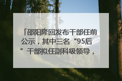 邵阳隆回发布干部任前公示，其中三名“95后”干部拟任副科级领导，均系硕士选调生