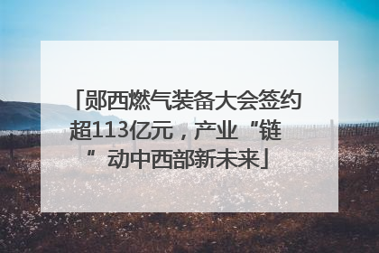 郧西燃气装备大会签约超113亿元，产业“链”动中西部新未来
