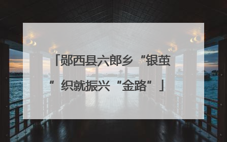 郧西县六郎乡“银茧”织就振兴“金路”