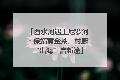酉水河遇上尼罗河：保靖黄金茶、村厨“出海”启新途