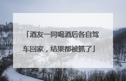 酒友一同喝酒后各自驾车回家，结果都被抓了