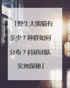 野生大熊猫有多少？种群如何分布？科研团队实地探秘