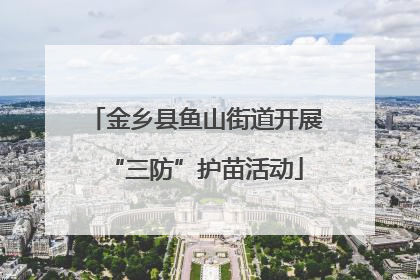 金乡县鱼山街道开展“三防”护苗活动