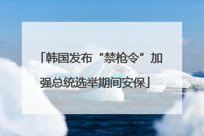 韩国发布“禁枪令”加强总统选举期间安保